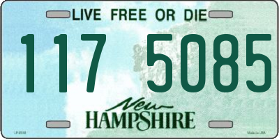 NH license plate 1175085