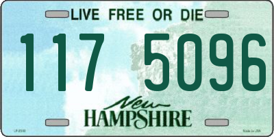 NH license plate 1175096