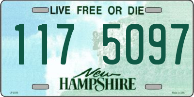 NH license plate 1175097
