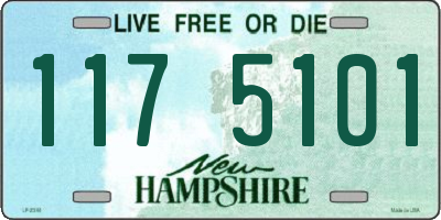 NH license plate 1175101