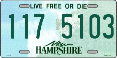 NH license plate 1175103