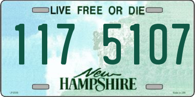 NH license plate 1175107