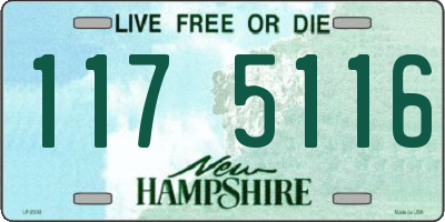 NH license plate 1175116