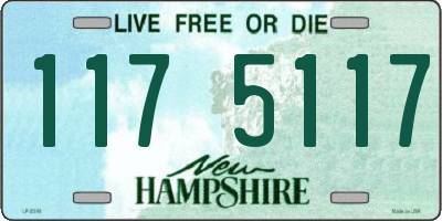 NH license plate 1175117
