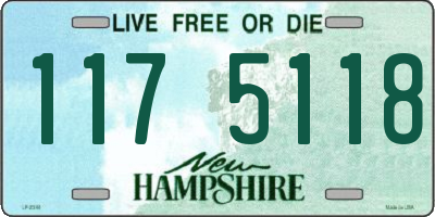 NH license plate 1175118