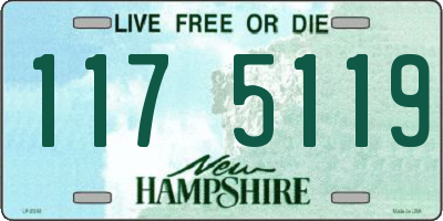 NH license plate 1175119