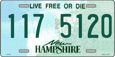NH license plate 1175120