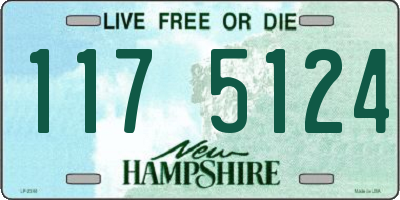NH license plate 1175124
