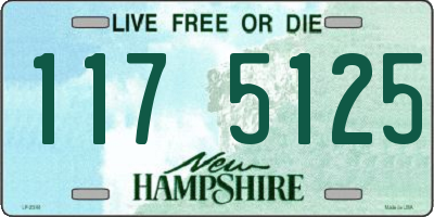 NH license plate 1175125