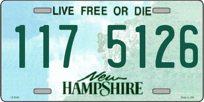 NH license plate 1175126