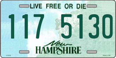 NH license plate 1175130