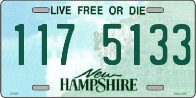 NH license plate 1175133