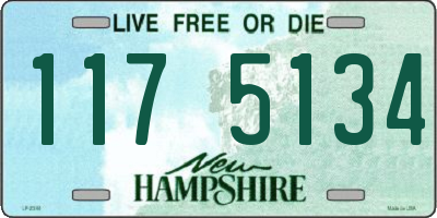 NH license plate 1175134