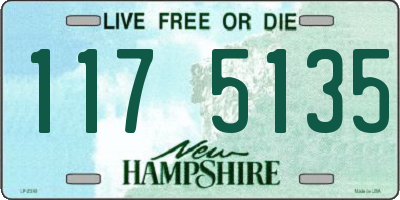 NH license plate 1175135