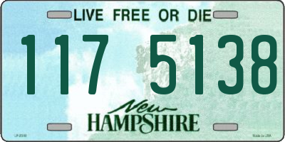 NH license plate 1175138