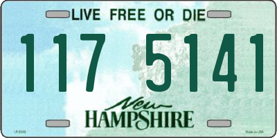 NH license plate 1175141