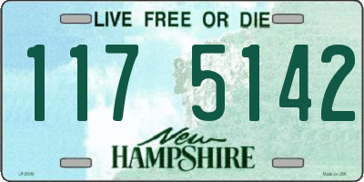 NH license plate 1175142