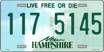 NH license plate 1175145