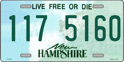 NH license plate 1175160