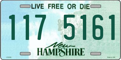 NH license plate 1175161