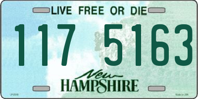 NH license plate 1175163