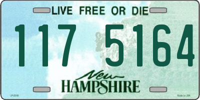 NH license plate 1175164