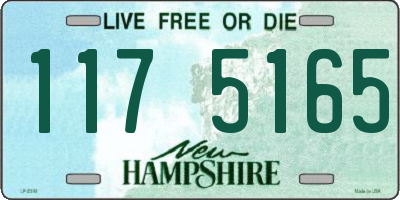 NH license plate 1175165