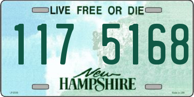 NH license plate 1175168