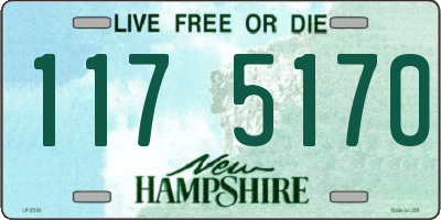 NH license plate 1175170