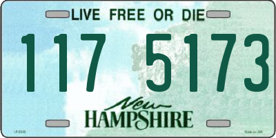 NH license plate 1175173
