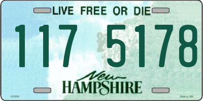 NH license plate 1175178