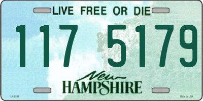 NH license plate 1175179