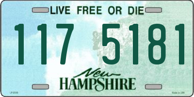 NH license plate 1175181