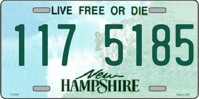 NH license plate 1175185