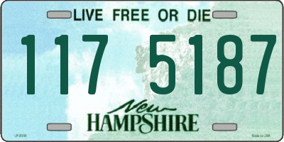 NH license plate 1175187