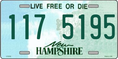 NH license plate 1175195
