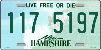 NH license plate 1175197