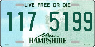 NH license plate 1175199