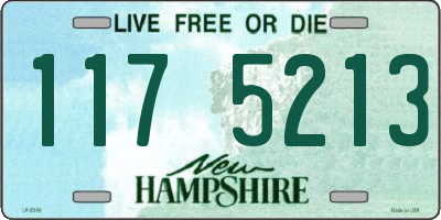 NH license plate 1175213