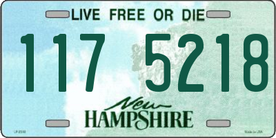 NH license plate 1175218