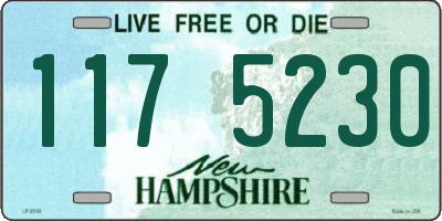 NH license plate 1175230