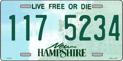 NH license plate 1175234