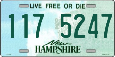 NH license plate 1175247