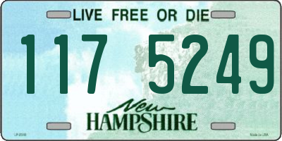 NH license plate 1175249