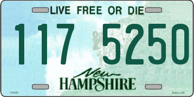 NH license plate 1175250