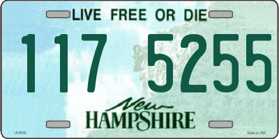 NH license plate 1175255