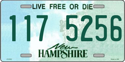 NH license plate 1175256