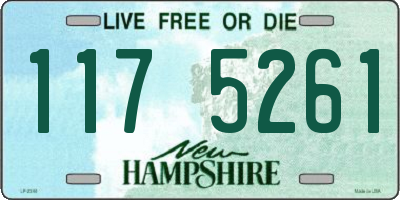NH license plate 1175261