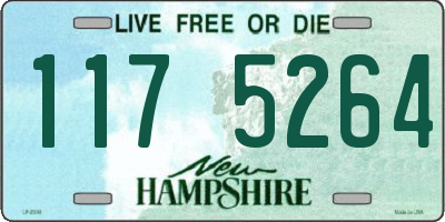 NH license plate 1175264