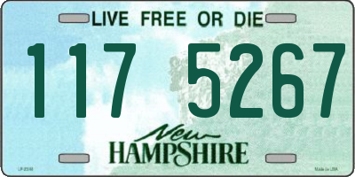 NH license plate 1175267